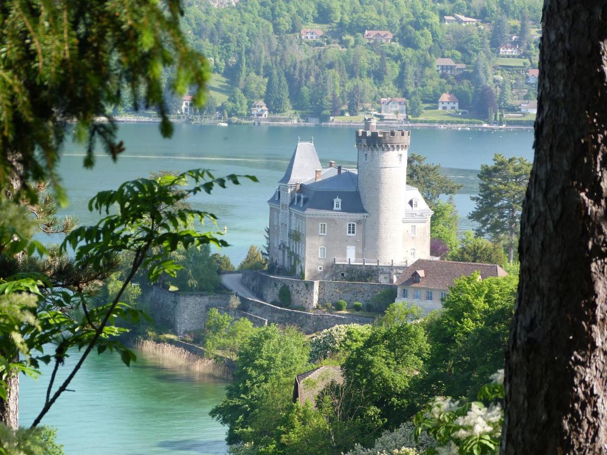 Au Bord Du Lac D'Annecy, Logement Type Loft, Dans Residence Avec Plage Et Ponton Privee Duingt Buitenkant foto